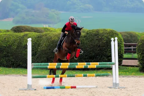 Königsprimel v. Kasimir TSF a.d. Königsfreude v. Interconti