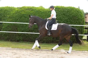 Königsfriede v. Freiherr von Stein (hier 3-jährig)