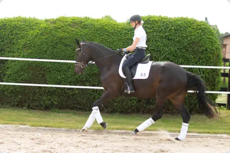 Königsfriede v. Freiherr von Stein (hier 3-jährig)