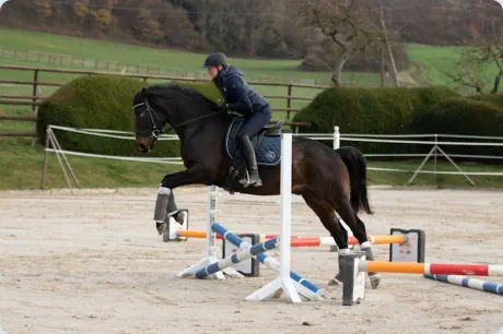 Königsstolz v. Niagara (hier 4-jährig)