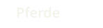 Pferde